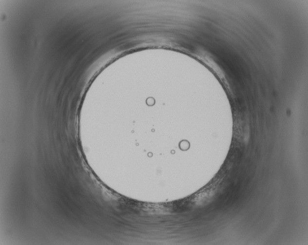 X0000083660807200703121810