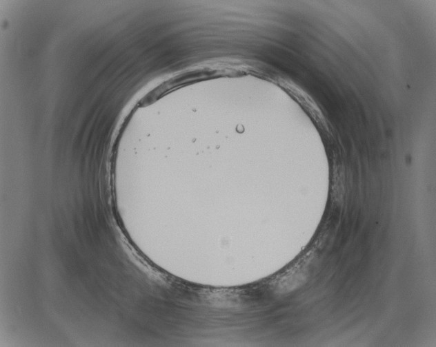 X0000083660808200703121810