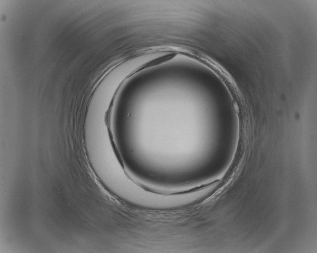 X0000083660809200703121810