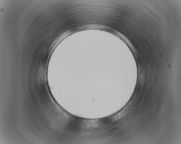 X0000083660810200703121810