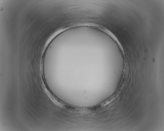 X0000083660811200703121810