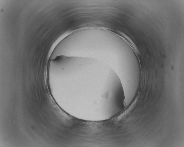 X0000083660812200703121810