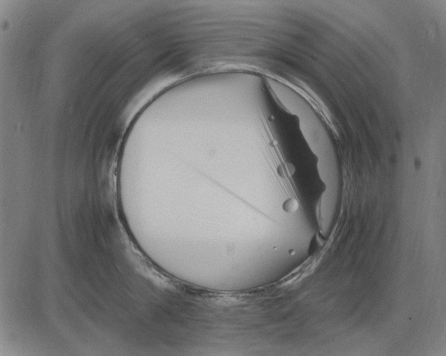 X0000083660814200703121810