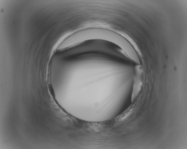 X0000083660815200703121810