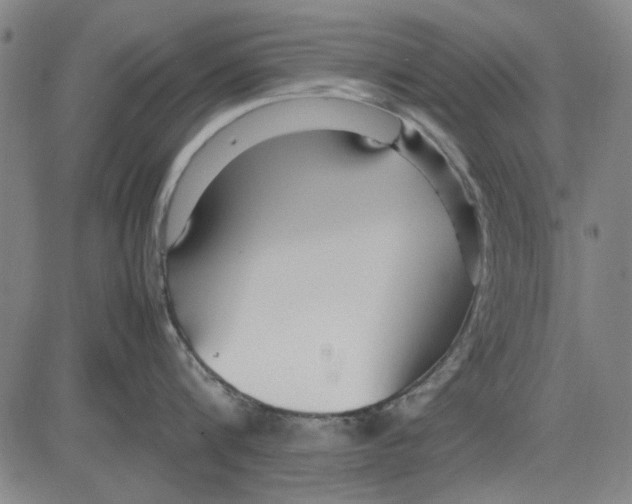 X0000083660816200703121810