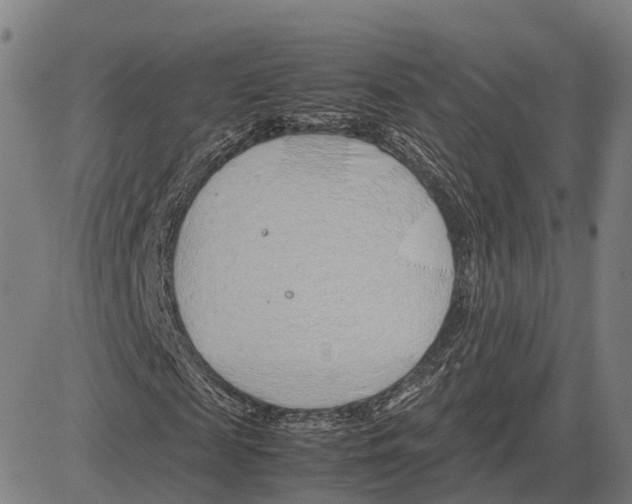 X0000083660817200703121809