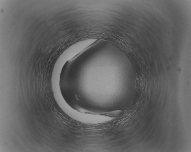 X0000083660818200703121809