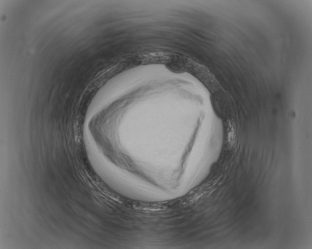 X0000083660819200703121809