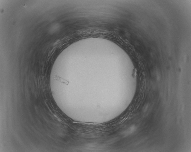 X0000083660820200703121809