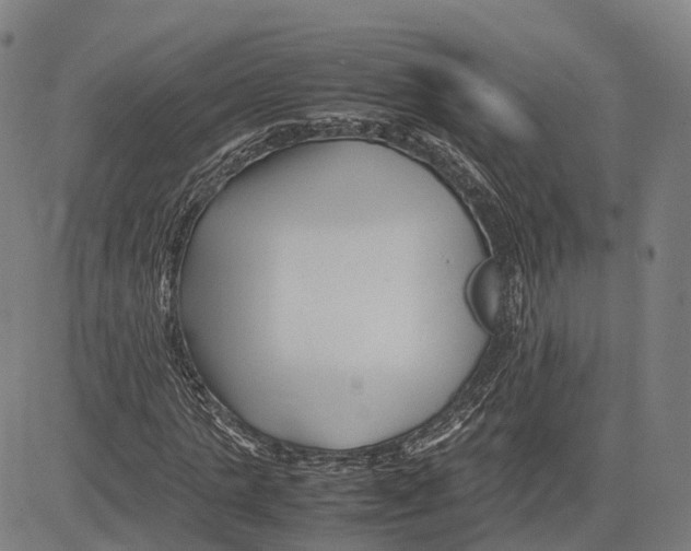 X0000083660821200703121809