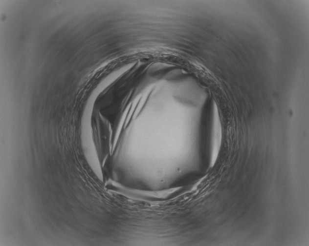 X0000083660822200703121809