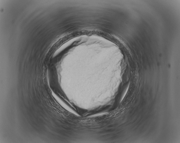 X0000083660823200703121809