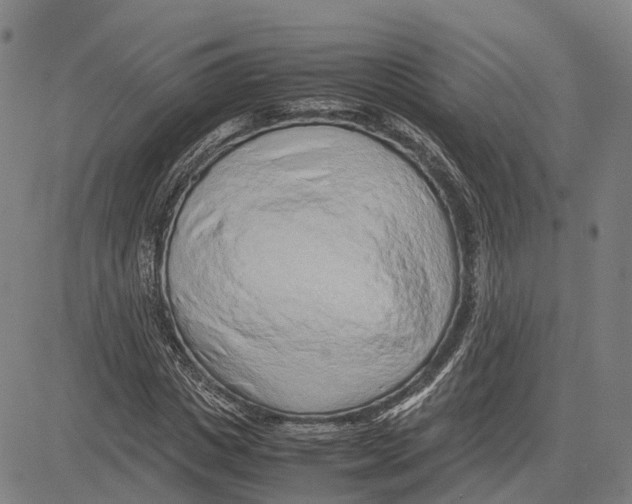 X0000083660825200703121809