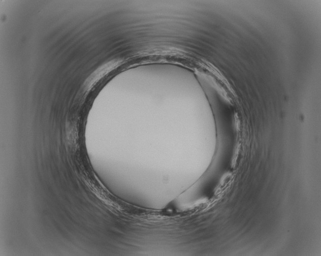 X0000083660826200703121809