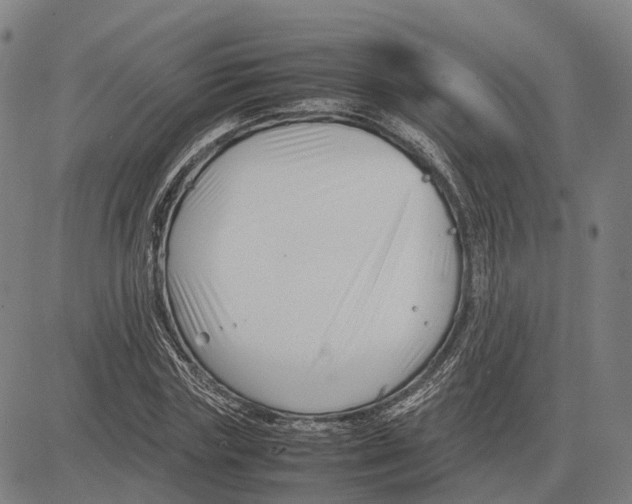 X0000083660827200703121809