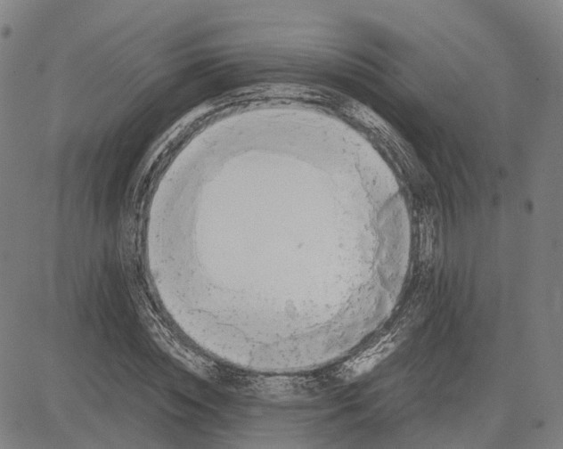 X0000083660828200703121809