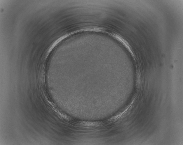 X0000083660829200703121809