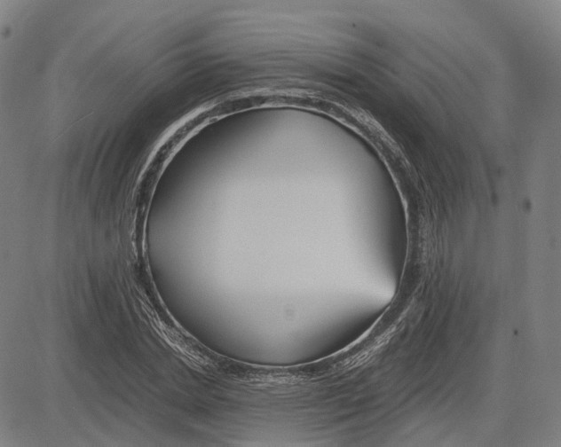 X0000083660830200703121809