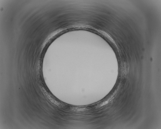 X0000083660831200703121809