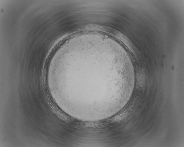 X0000083660832200703121809