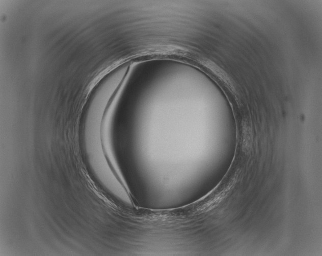 X0000083660834200703121809