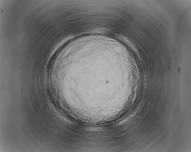 X0000083660835200703121809