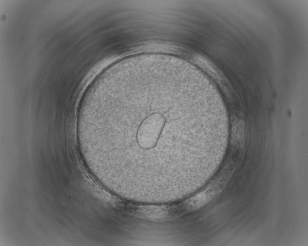 X0000083660836200703121809