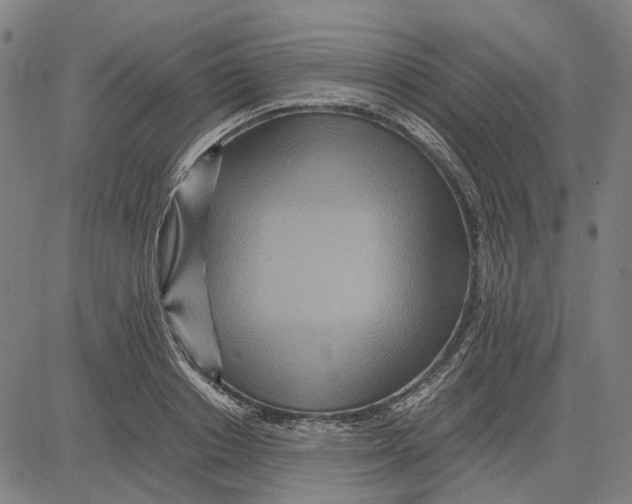 X0000083660842200703121809