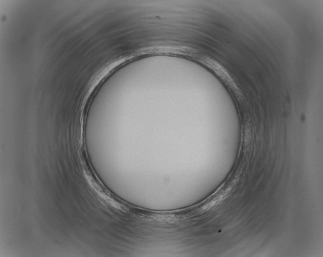 X0000083660844200703121809