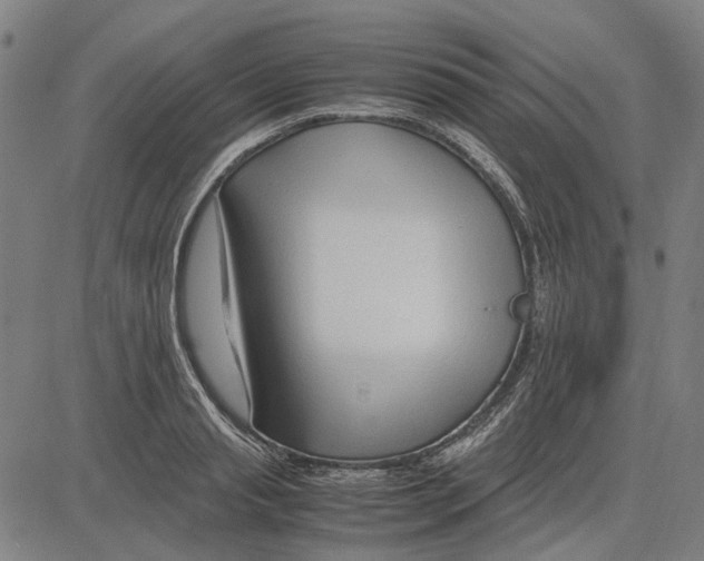 X0000083660845200703121809