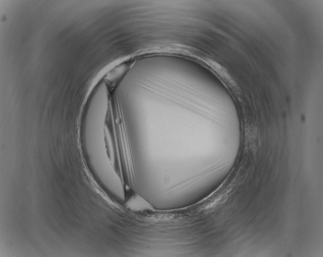 X0000083660846200703121809