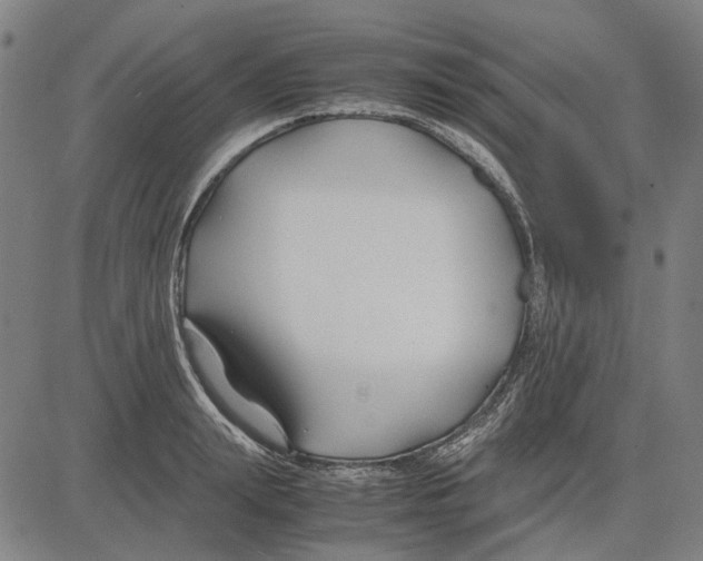 X0000083660847200703121809