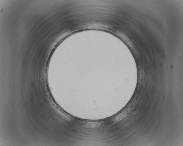 X0000083660848200703121809