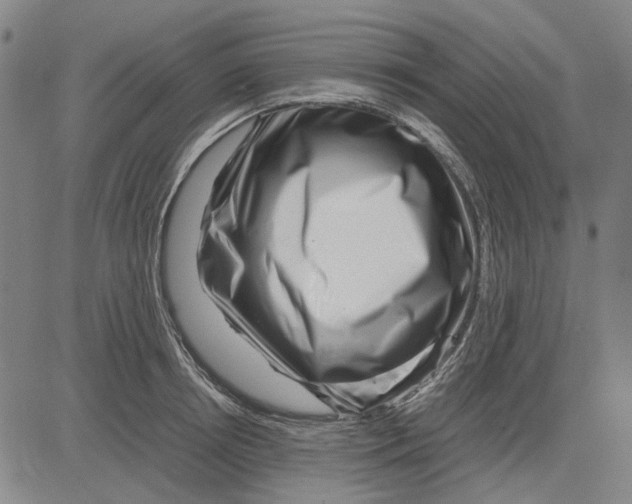 X0000083660850200703121809