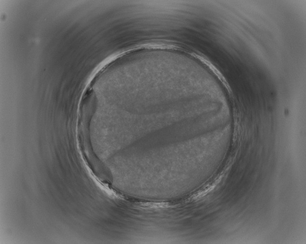 X0000083660853200703121810