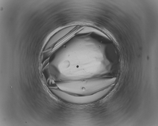 X0000083660854200703121810