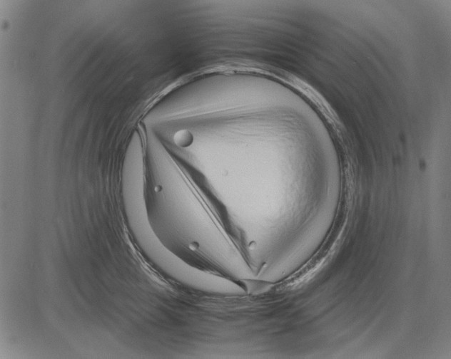 X0000083660857200703121810