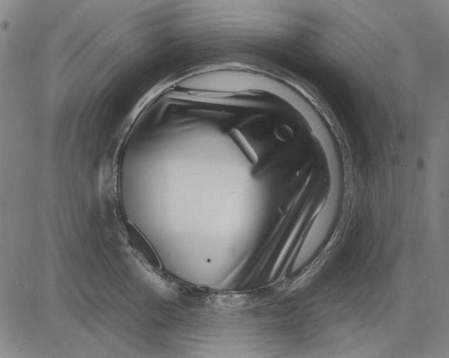 X0000083660858200703121810