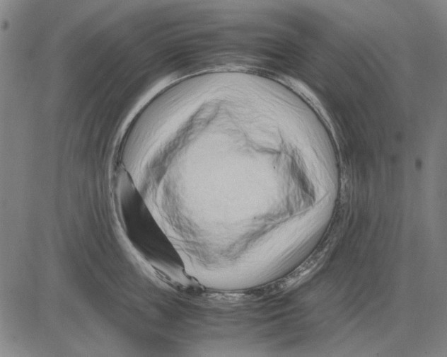 X0000083660859200703121810