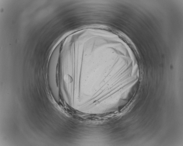 X0000083660860200703121810