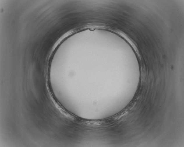 X0000083660861200703121810