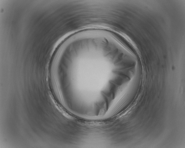 X0000083660862200703121810