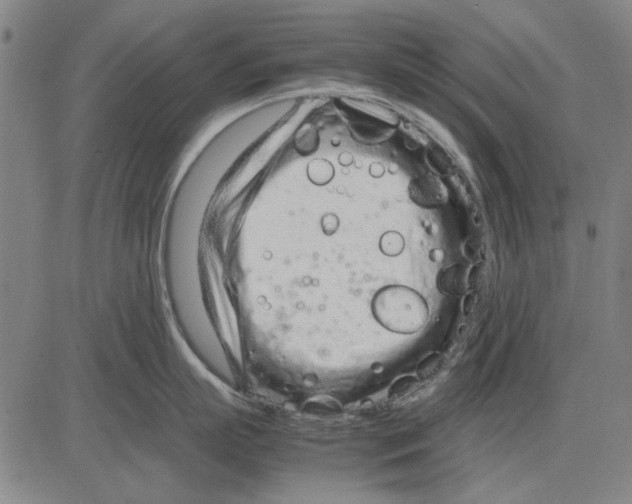 X0000083660863200703121810