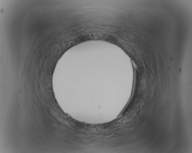 X0000083660865200703121809