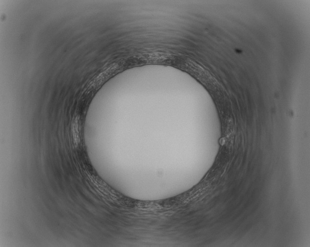 X0000083660866200703121809