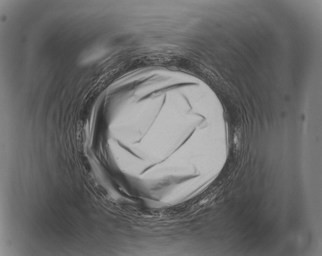 X0000083660867200703121809