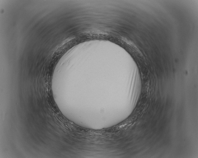 X0000083660870200703121809