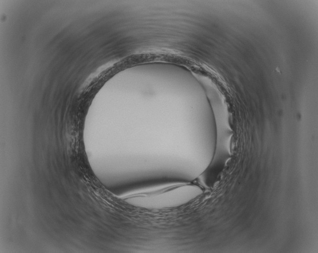 X0000083660872200703121809