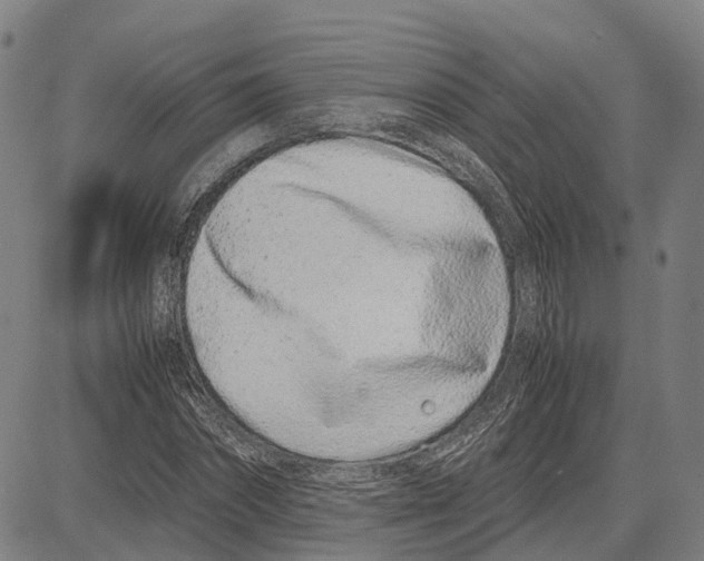 X0000083660874200703121809