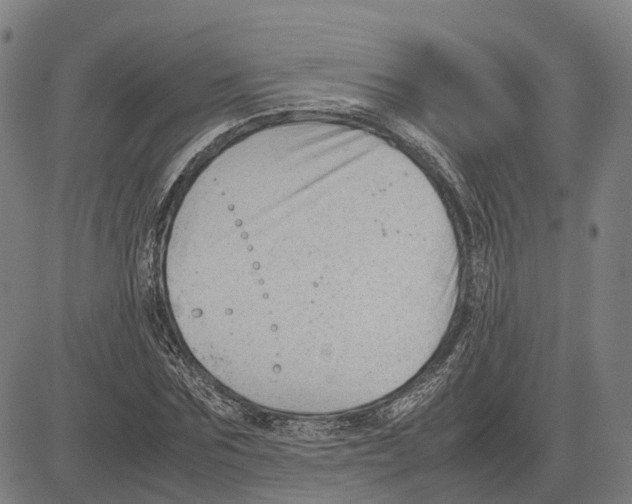 X0000083660875200703121809